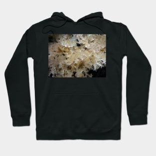 Jelly fish party Hoodie